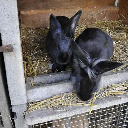 La Maison Du Bonheur 