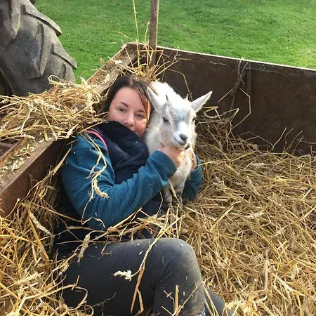 La Maison Du Bonheur 