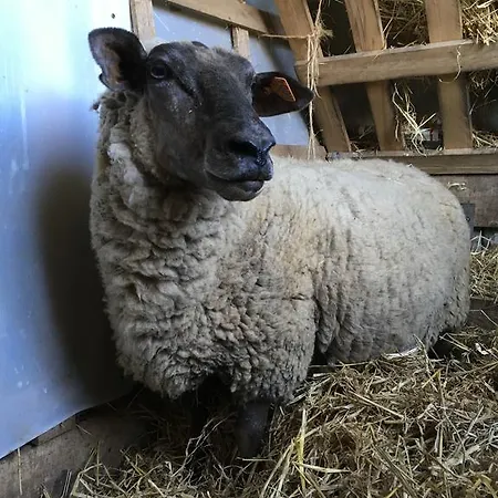 La Maison Du Bonheur 