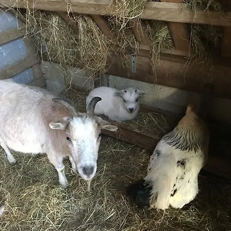 בית נופש La Maison Du Bonheur 