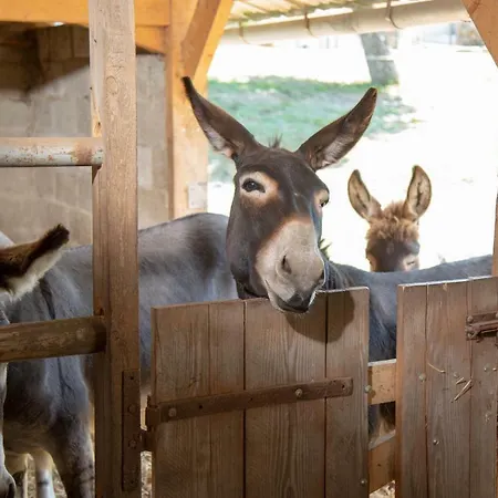 La Maison Du Bonheur 