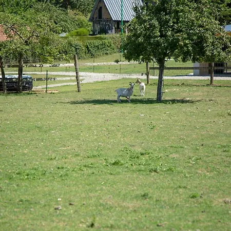 La Maison Du Bonheur 